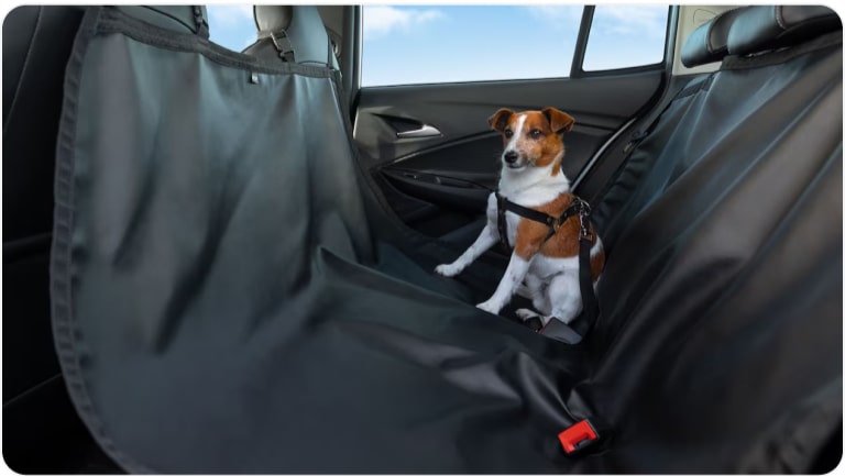 Imagen de un perro tipo Jack Russell sentado en uno de los asientos traseros del Chevrolet Onix Plus con su funda, atado con el cinturón de seguridad.