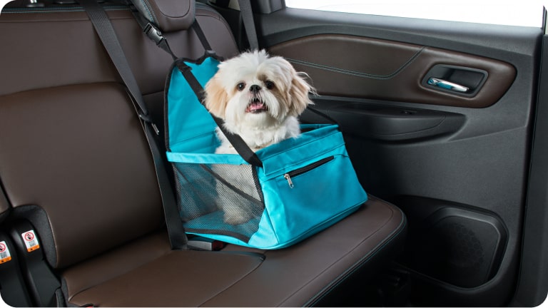 Silla para mascota para el Chevrolet Onix