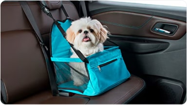 Práctica butaca para mascotas instalada en el asiento trasero, diseñada para transportar a tu perro de forma segura y proteger el tapizado de la nueva Chevrolet Spin en Argentina.