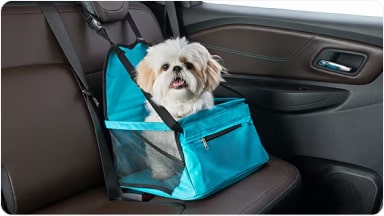 Accesorio de asiento protector color celeste para transportar mascotas de forma segura en el asiento trasero de la SUV Chevrolet Trailblazer en Argentina.