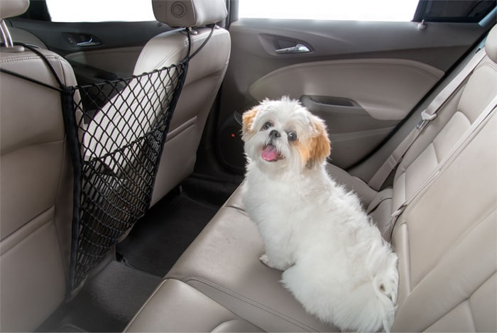 Llevá tu mascota segura con la red divisoria de asiento para tu Chevrolet Equinox