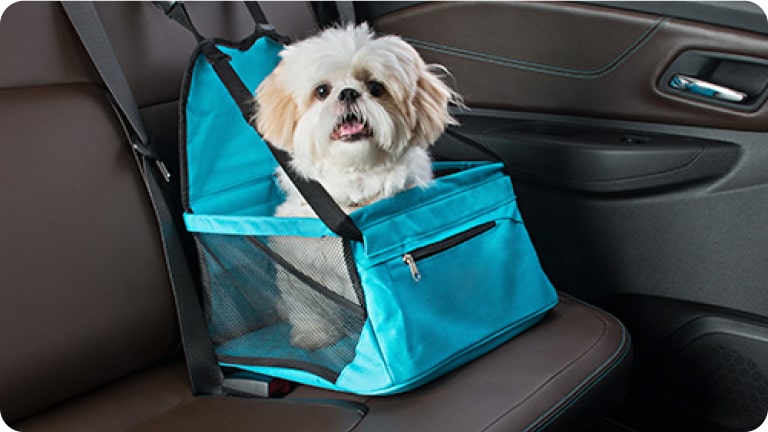 Silla para asiento trasero para mascotas del Chevrolet Spark EUV.