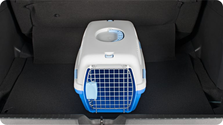 Caja de transporte pequeña para mascotas del Chevrolet Spark EUV.