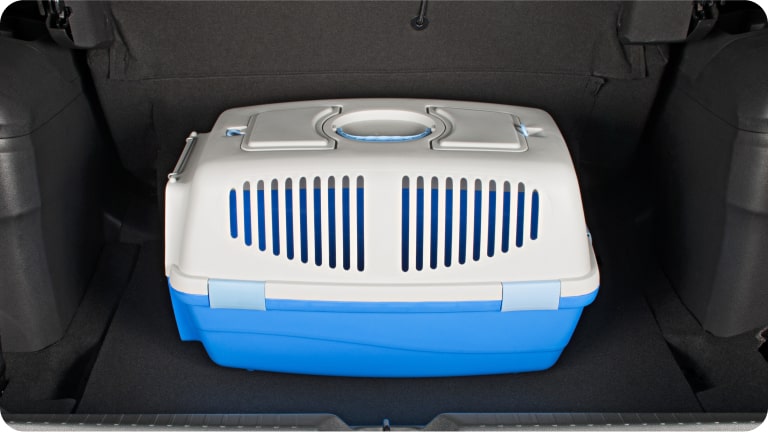Caja de transporte para mascotas del Chevrolet Spark EUV.
