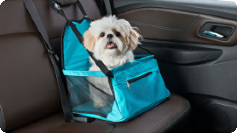 Imagen del interior de la nueva Chevrolet Silverado, mostrando un perro blanco sentado en la silla para mascotas.