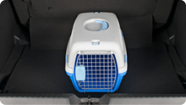 Imagen de una caja de transporte N°1 para mascotas colocada dentro de un baúl.