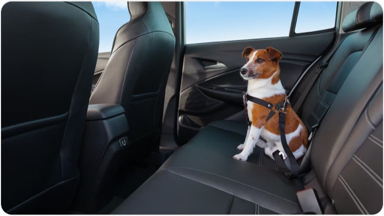 Extensor de cinturón de seguridad para la Chevrolet Montana.